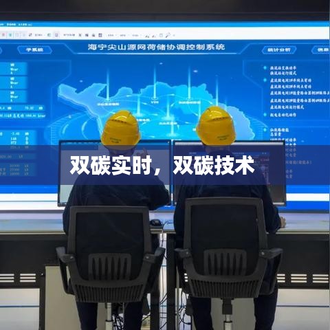 双碳实时,双碳技术