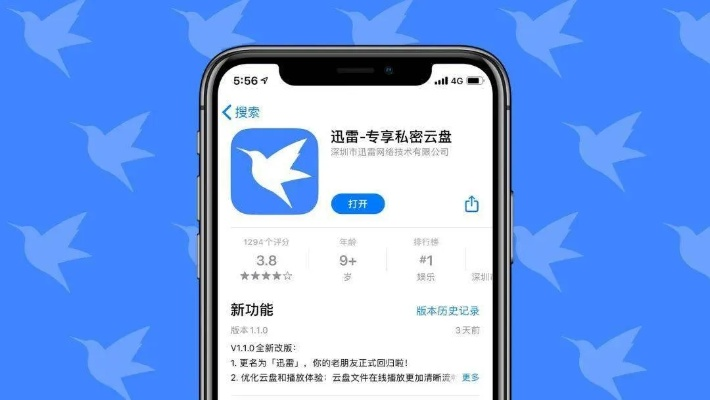 迅雷历史版本下载，结构化推进计划评估苹果款 v7.609 2025最新版评测介绍