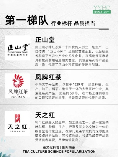 红莲爆炎与绿茶下载，行业标杆的系统化解析 MR_v1.466版