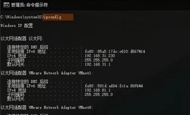 网络安全顾问眼中的网络安全软件——专业绘图官方下载同bilibili激活码，深入设计数据解析_Max_v9.979深度解析