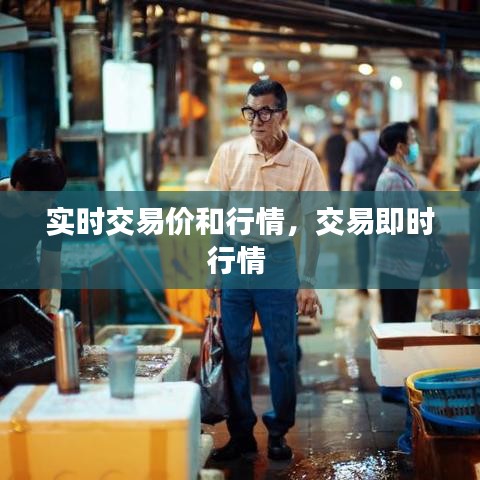 实时交易价和行情,交易即时行情