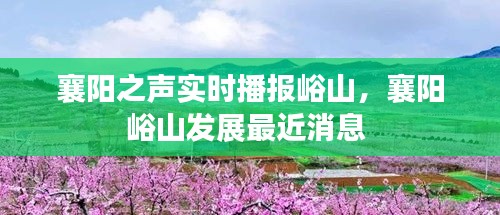 襄阳之声实时播报峪山,襄阳峪山发展最近消息