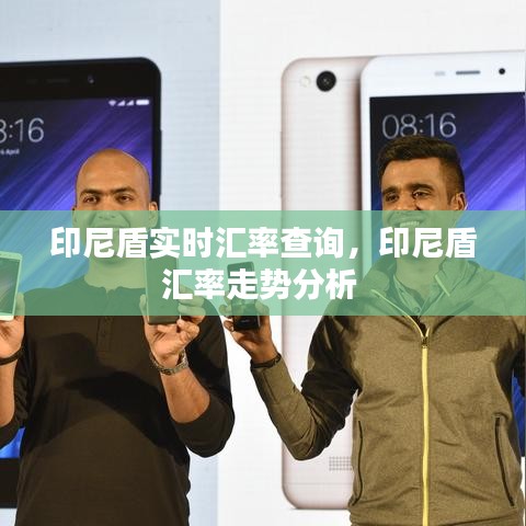 印尼盾实时汇率查询,印尼盾汇率走势分析