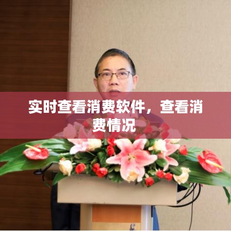 实时查看消费软件,查看消费情况