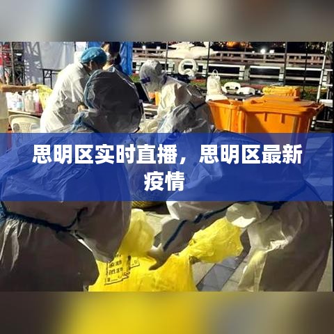 思明区实时直播,思明区最新疫情