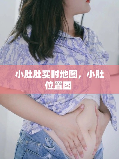 小肚肚实时地图,小肚位置图