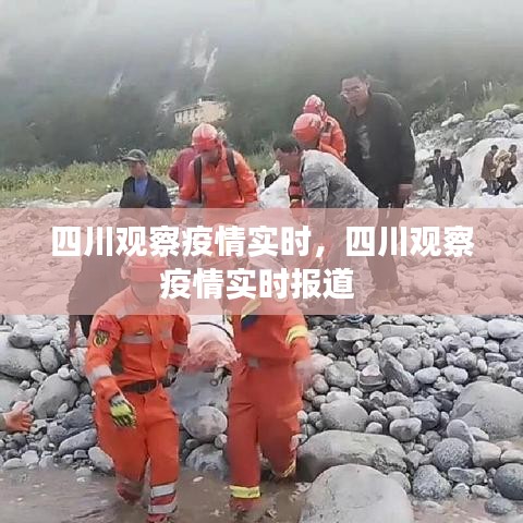 四川观察疫情实时,四川观察疫情实时报道