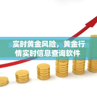 实时黄金风险,黄金行情实时信息查询软件