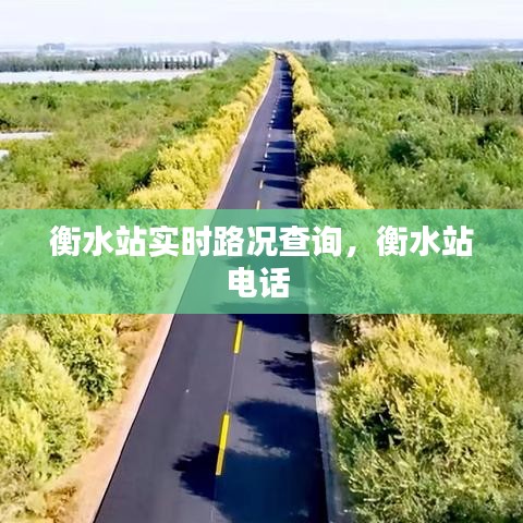 衡水站实时路况查询,衡水站电话