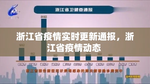 浙江省疫情实时更新通报,浙江省疫情动态