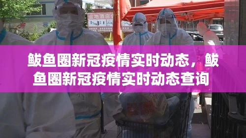 鲅鱼圈新冠疫情实时动态,鲅鱼圈新冠疫情实时动态查询