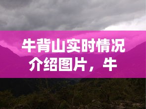牛背山实时情况介绍图片,牛背山最新消息