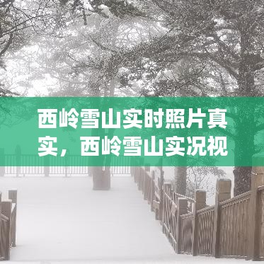 西岭雪山实时照片真实,西岭雪山实况视频