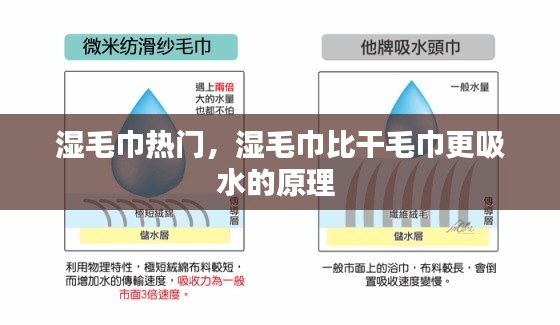 湿毛巾热门,湿毛巾比干毛巾更吸水的原理