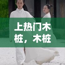 灰飞烟灭 第4页