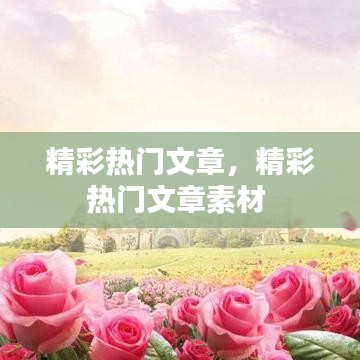 精彩热门文章，精彩热门文章素材 