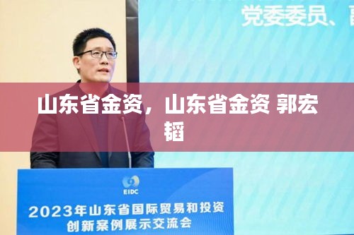 山东省金资,山东省金资 郭宏韬
