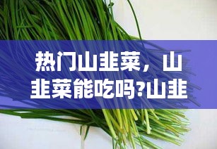 热门山韭菜，山韭菜能吃吗?山韭菜不仅能吃,功效作用还很强大呢! 