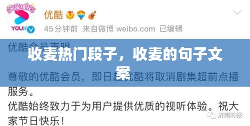 收麦热门段子,收麦的句子文案