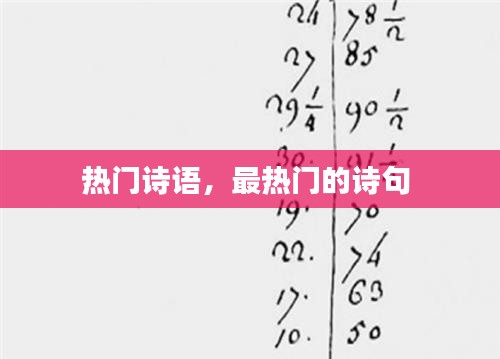 热门诗语,最热门的诗句