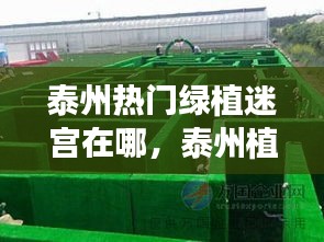 泰州热门绿植迷宫在哪,泰州植物园最新消息