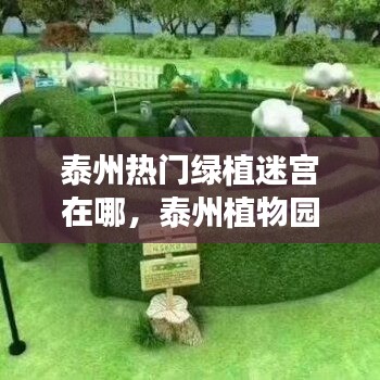 泰州热门绿植迷宫在哪,泰州植物园最新消息