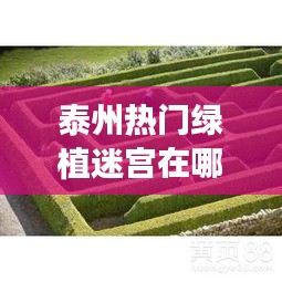泰州热门绿植迷宫在哪,泰州植物园最新消息