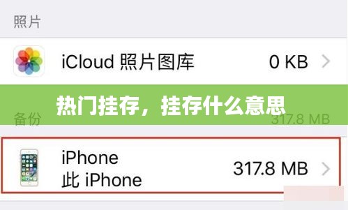 热门挂存，挂存什么意思 