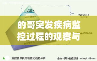 的哥突发疾病监控过程的观察与探讨,深度解析
