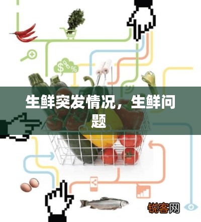 贵冠履轻头足 第3页