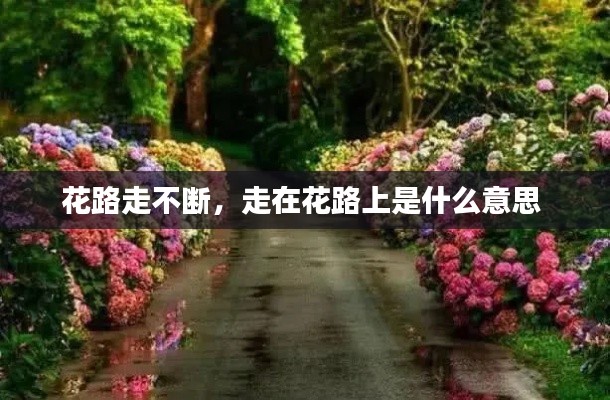 花路走不断,走在花路上是什么意思