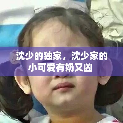 沈少的独家，沈少家的小可爱有奶又凶 