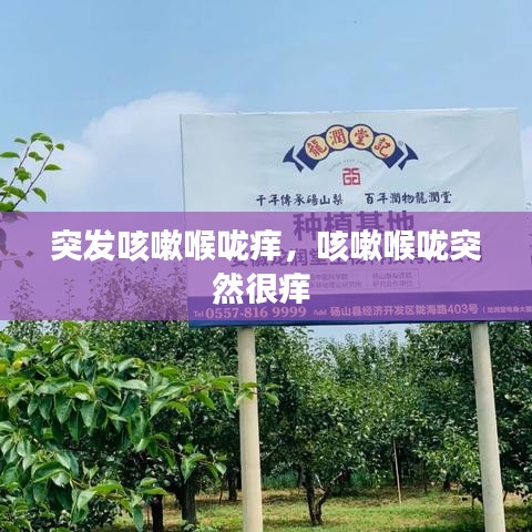 突发咳嗽喉咙痒,咳嗽喉咙突然很痒
