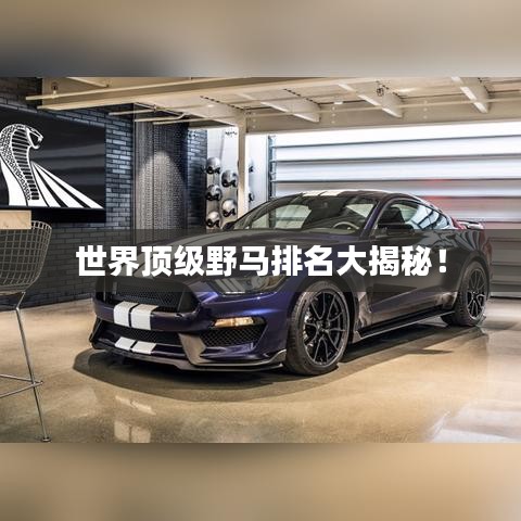 世界顶级野马排名大揭秘!