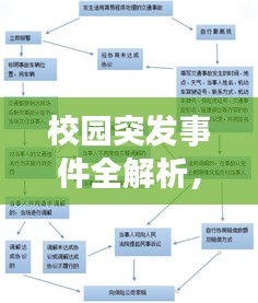 校园突发事件全解析，了解、预防与处理的重要性