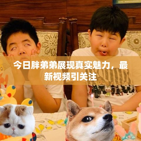 今日胖弟弟展现真实魅力,最新视频引关注