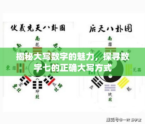 踊贵屦贱 第4页