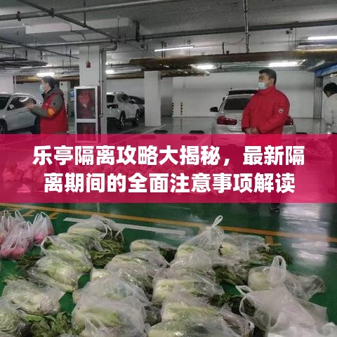 乐亭隔离攻略大揭秘，最新隔离期间的全面注意事项解读
