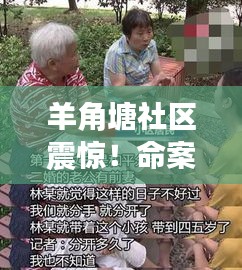 羊角塘社区震惊!命案细节逐渐揭晓