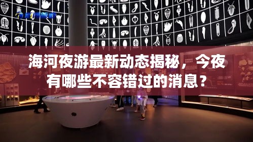 海河夜游最新动态揭秘，今夜有哪些不容错过的消息？