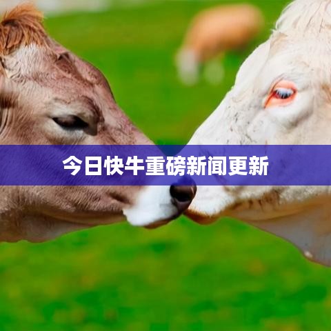 莺声燕语 第3页