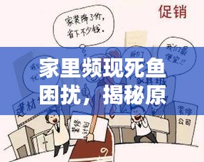 家里频现死鱼困扰,揭秘原因及解决之道
