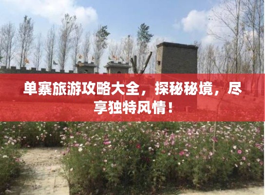 单寨旅游攻略大全,探秘秘境,尽享独特风情!