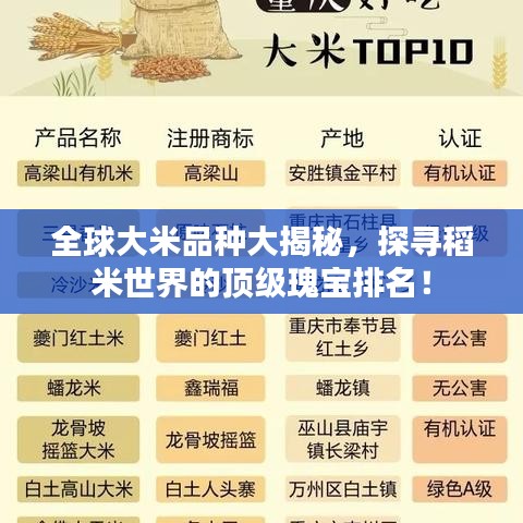 全球大米品种大揭秘,探寻稻米世界的顶级瑰宝排名!