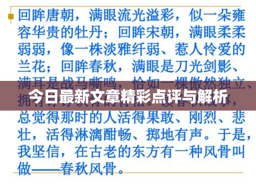 今日最新文章精彩点评与解析