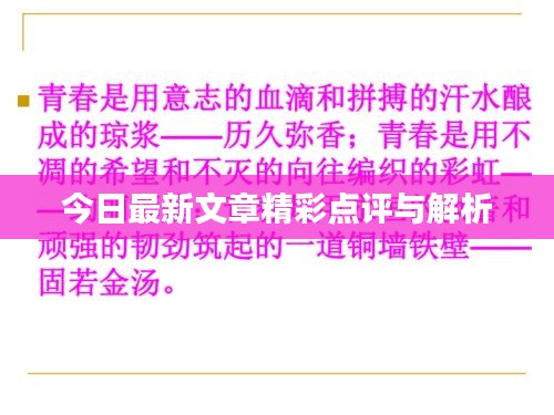 今日最新文章精彩点评与解析