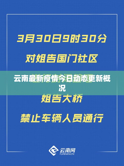 七贵三公 第3页