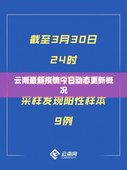 云南最新疫情今日动态更新概况