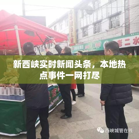 新西峡实时新闻头条,本地热点事件一网打尽