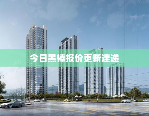 今日黑棒报价更新速递